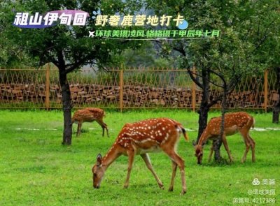 祖山野奢鹿营地 - 场地环境